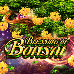 PAWIN8888 HOTD slot Blessing of Bonsai