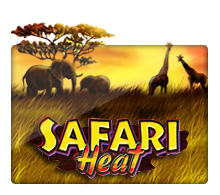 pawin88 JK slot Safari Heat