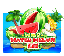 pawin88 JK slot Wild Watermelon