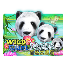 pawin88 JK slot Wild Giant Panda