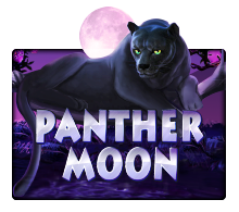 pawin88 JK slot Panther Moon