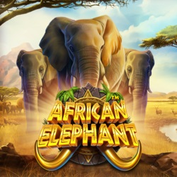 PAWIN8888 PP slot African Elephant
