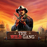 PAWIN8888 PP slot The Wild Gang